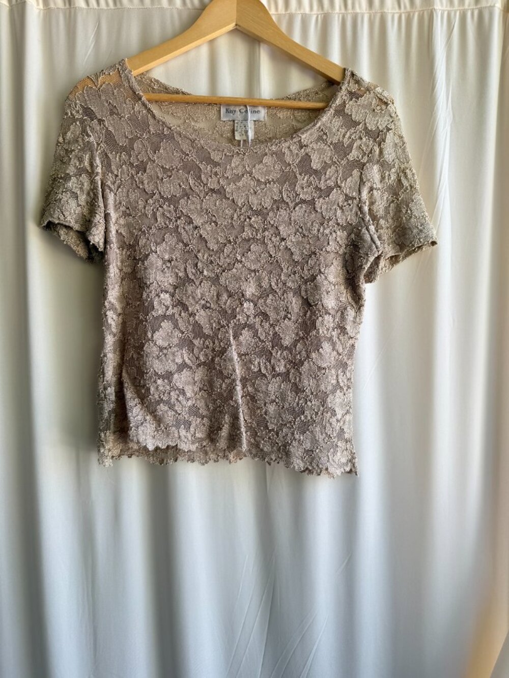 Kay Celine Lace Top Sheer Floral Vintage Made in USA Size 2